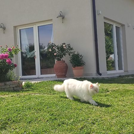 Pollutri La Casa Di Stefania Loftヴィラ エクステリア 写真