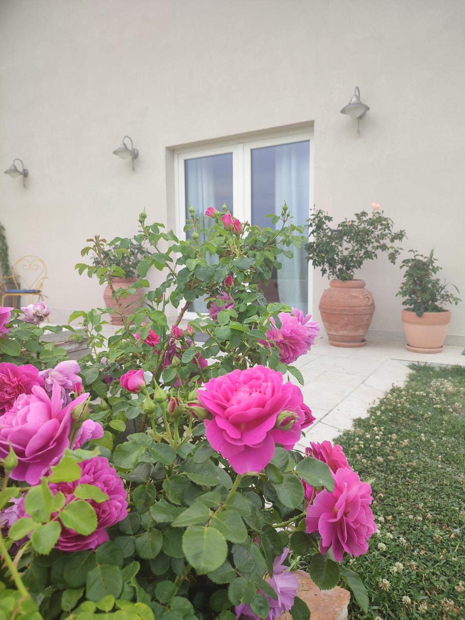 Pollutri La Casa Di Stefania Loftヴィラ エクステリア 写真