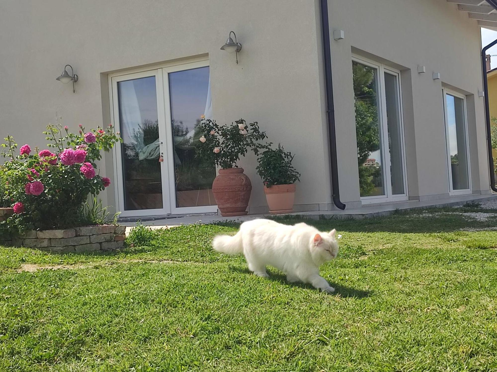 Pollutri La Casa Di Stefania Loftヴィラ エクステリア 写真